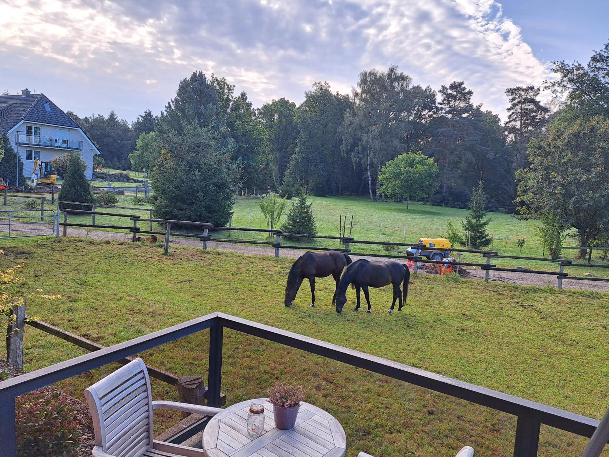Dat Luette Heidehotel Funk - Garni Bispingen Exteriér fotografie